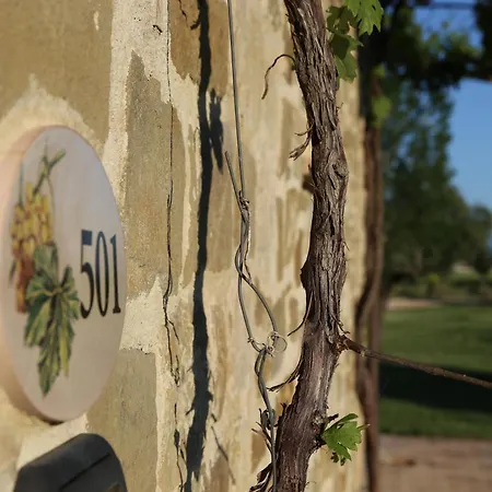 Valle Di Country アパート アッシジ