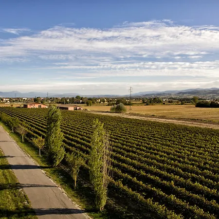 Valle Di Country Διαμέρισμα Ασίζη