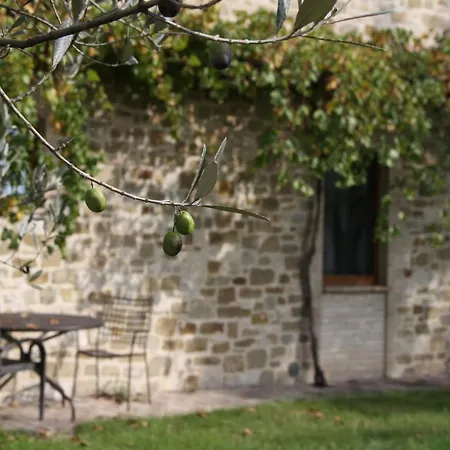 Valle Di Country Ассизи