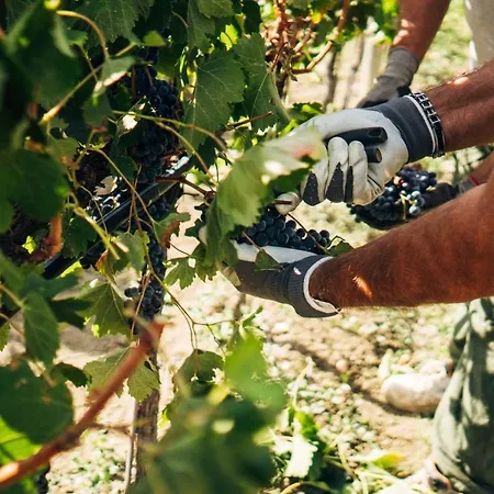 Valle Di Country Апартаменты