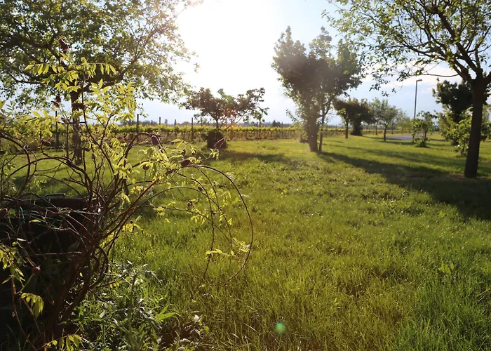 Valle Di Country * Asyż