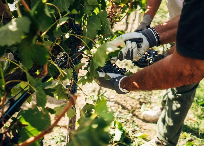 Valle Di Country Apartament